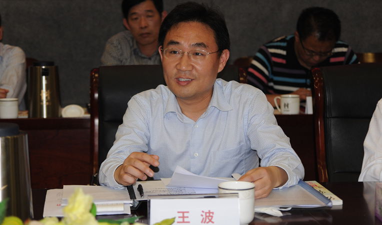 淮北市相山區區長王波發言