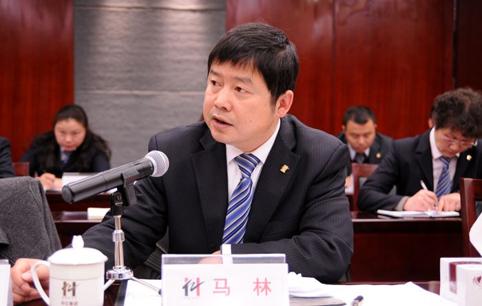 南陵華億置業公司總經理馬林討論發言