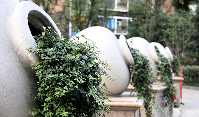 華亭陽光綠洲小區(qū)景觀帶